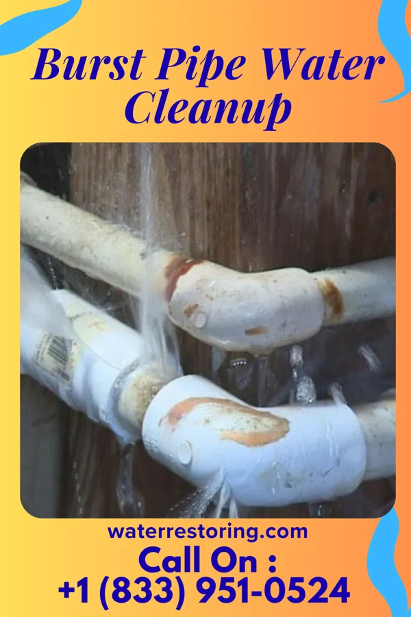 Burst Pipe Water Cleanup in Brownell, KS