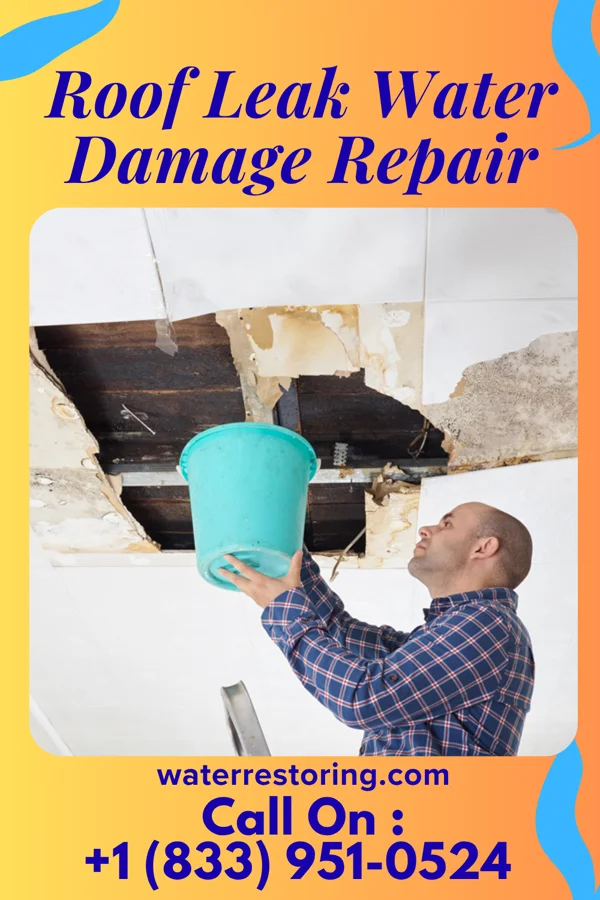 Roof Leak Water Damage Repair in Brownell, KS