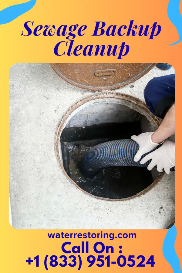 Sewage Backup Cleanup in Brownell, KS