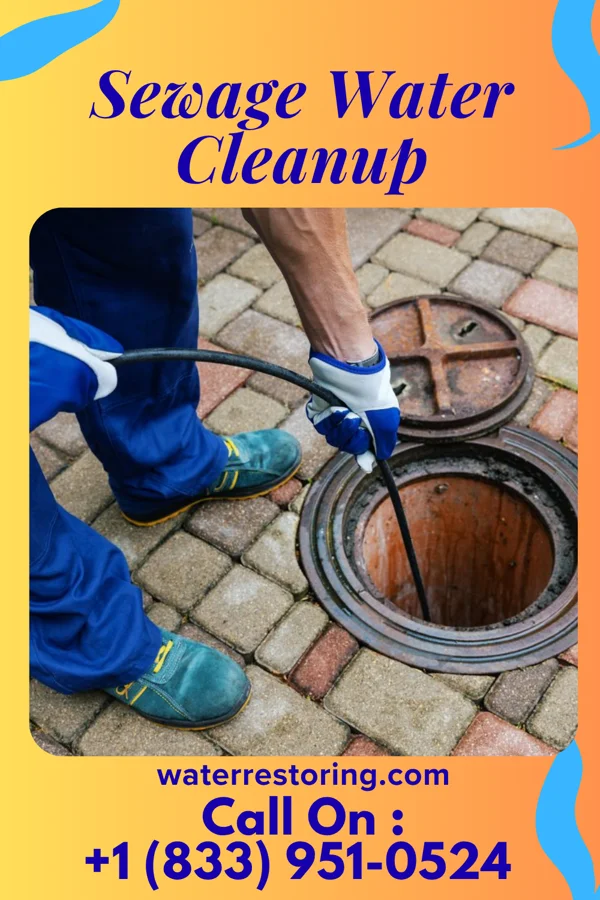 Sewage Water Cleanup in Brownell, KS